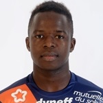 M. N'Diaye