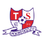 club logo