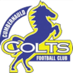 club logo