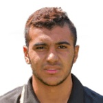 Ahmed Hassan Elgenawy